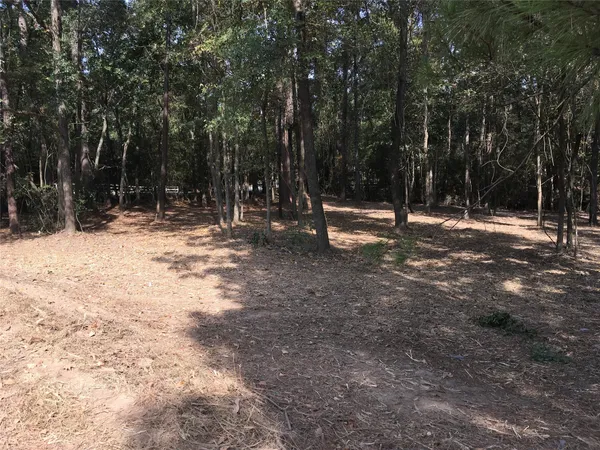 a view of empty room with trees
