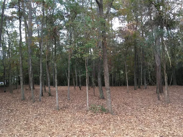 a view of an outdoor space and trees