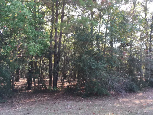 a view of outdoor space