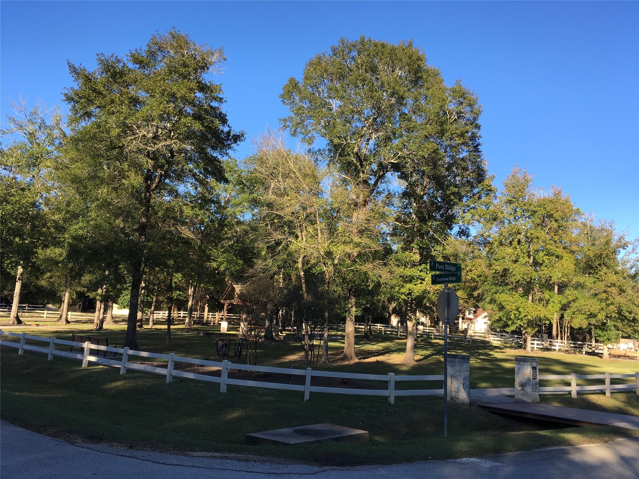 1930 Autumn Ridge Drive Conroe, TX 77304 - Photo 9 of 17 a view of a park with large trees