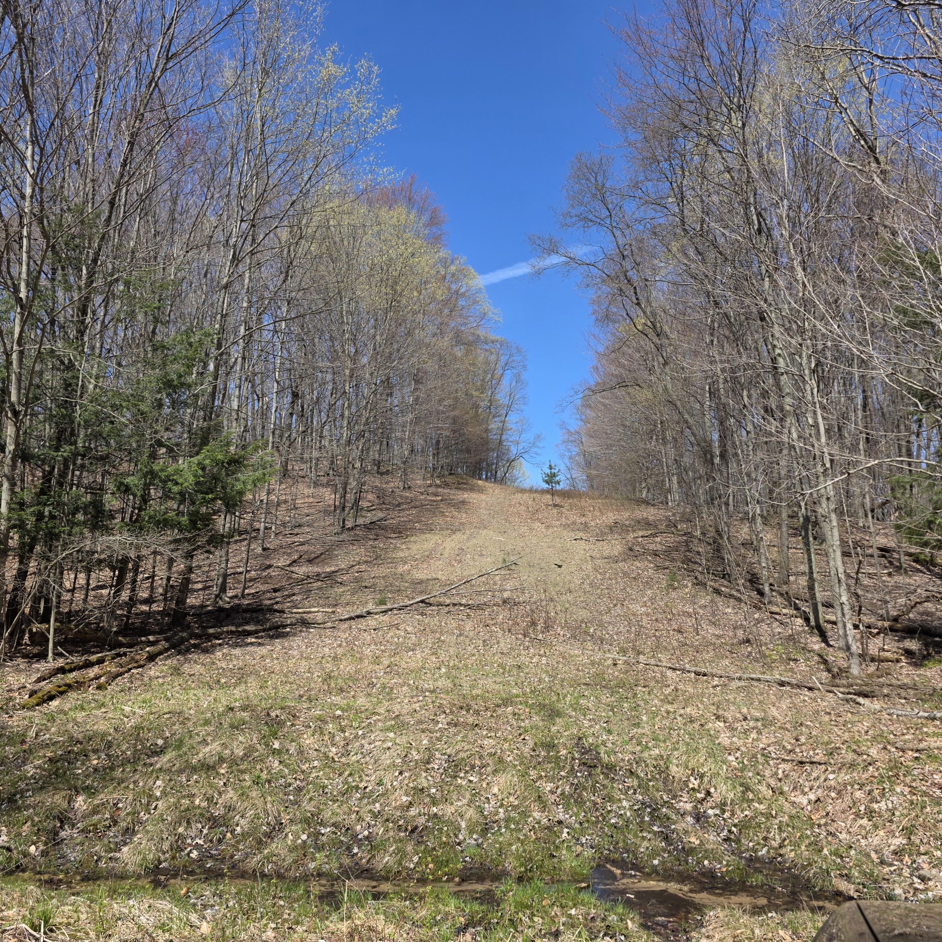1634 West Hazel Road Hart, MI 49420 - Photo 28 of 35 20260420_140140