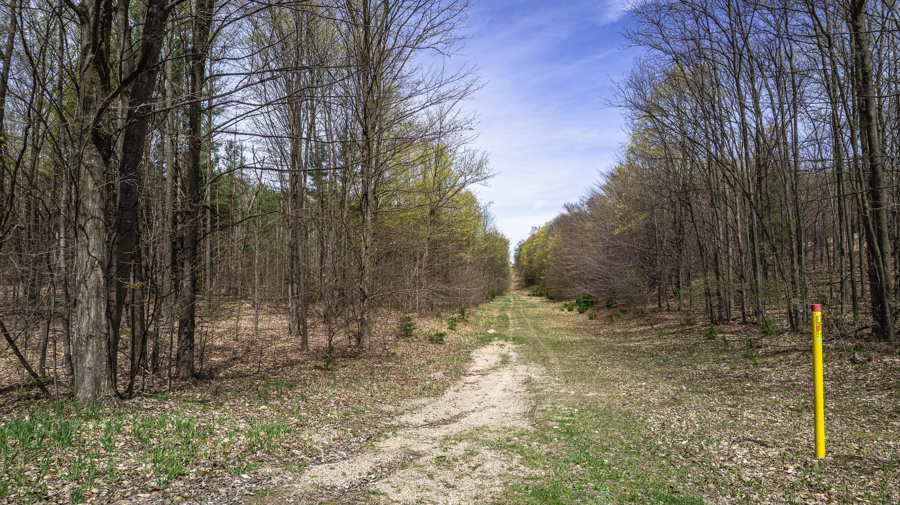 1634 West Hazel Road Hart, MI 49420 - Photo 34 of 35 DJI_0431-HDR