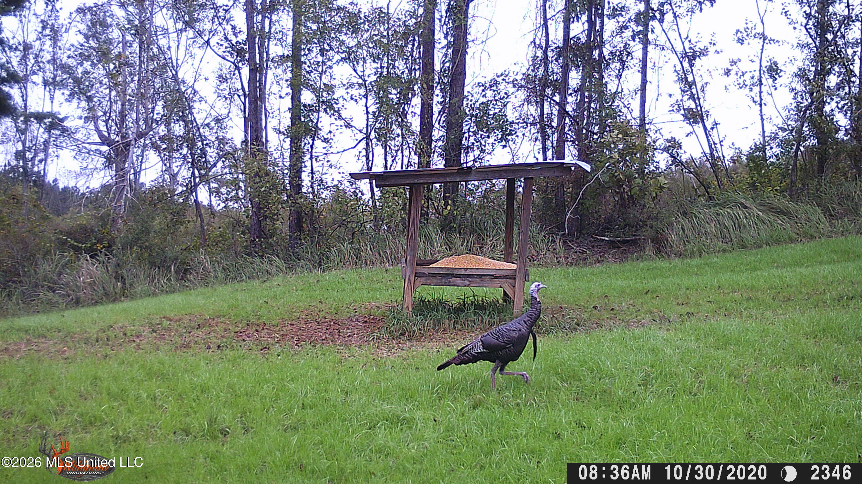 189 Co Road Bay Springs, MS 39422 - Photo 61 of 61 IMG_1829