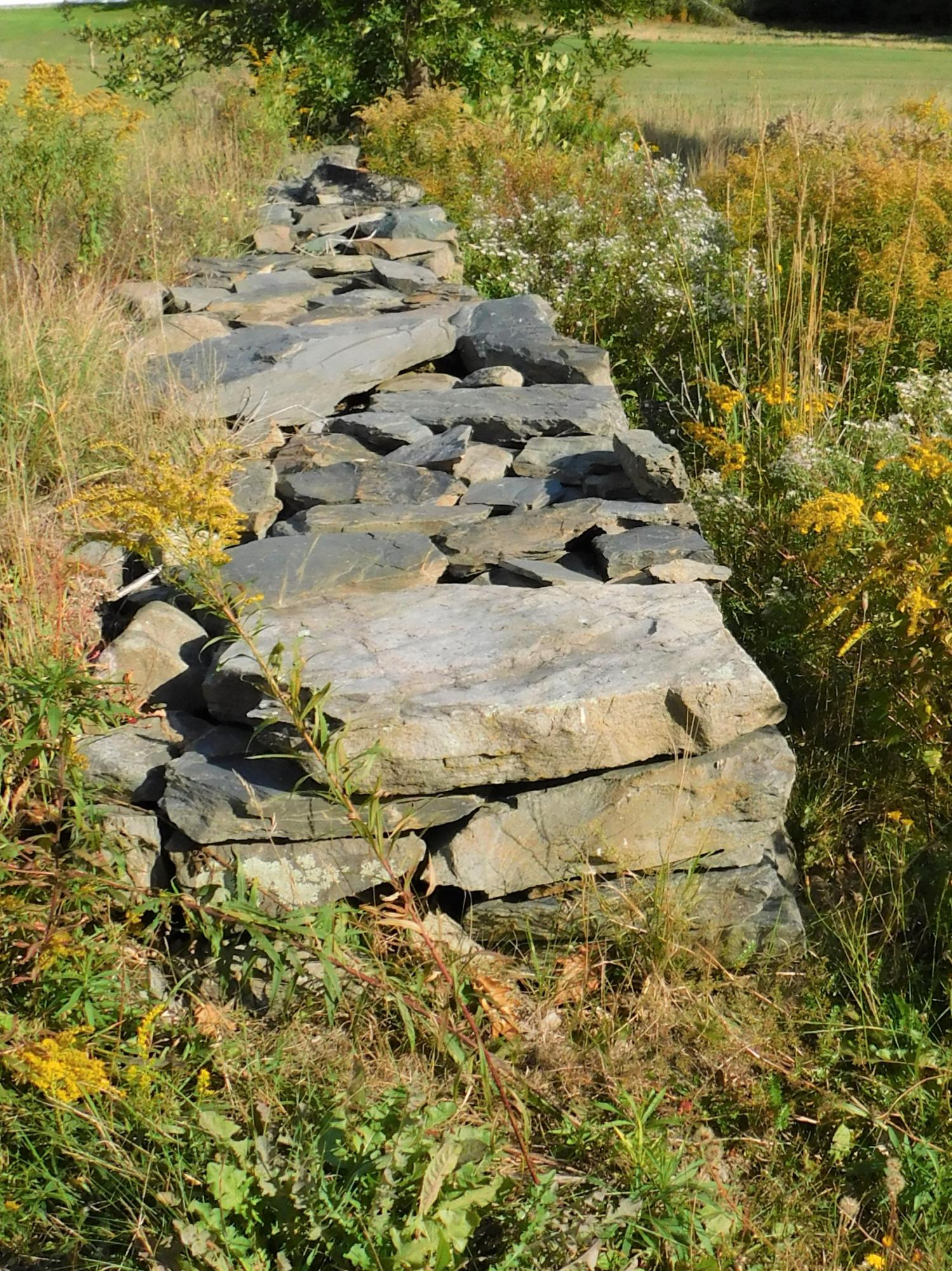 1095 Silvers Mills Road Sangerville, ME 04479 - Photo 60 of 64 DSCN1573