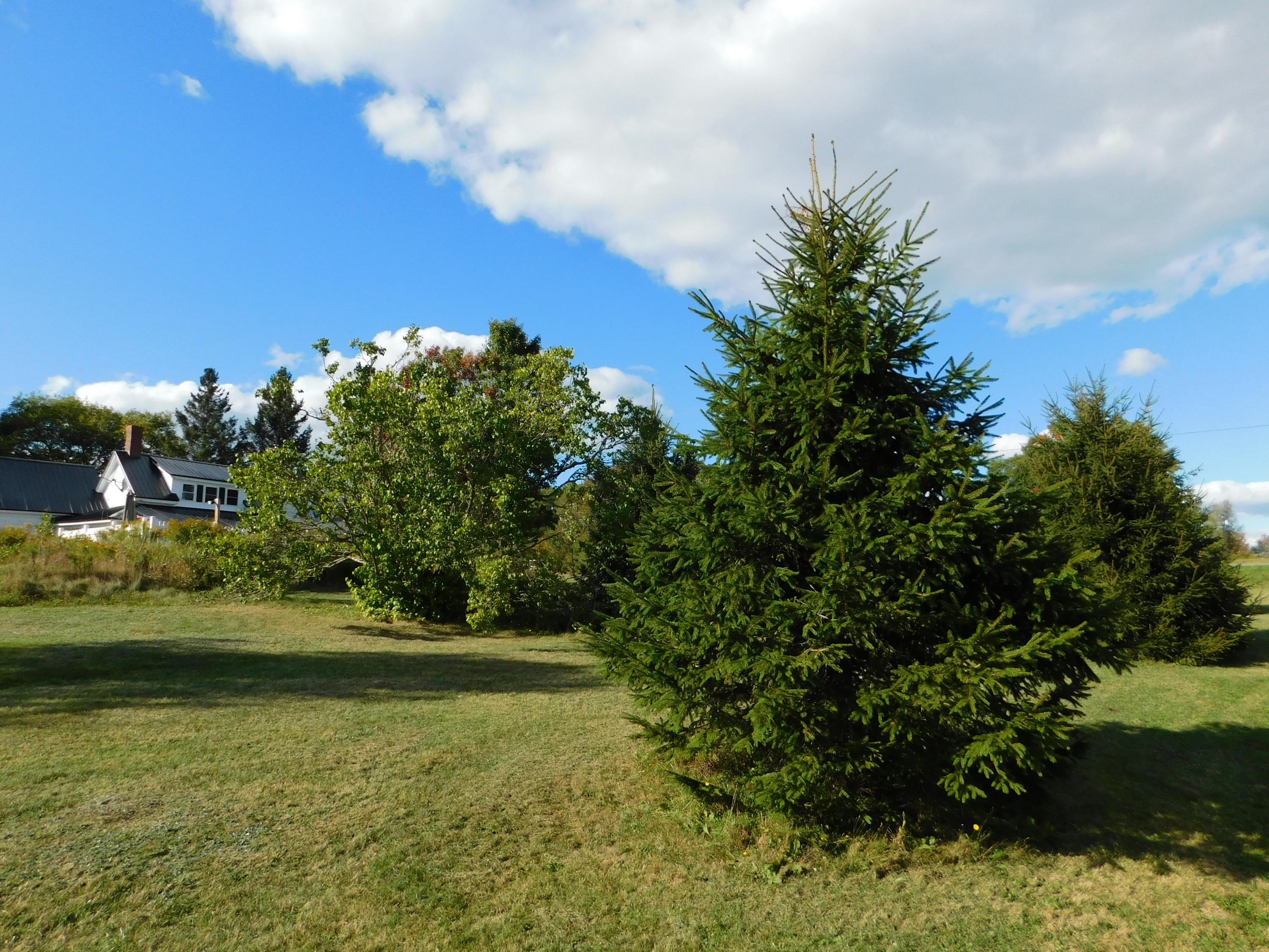 1095 Silvers Mills Road Sangerville, ME 04479 - Photo 62 of 64 DSCN1576