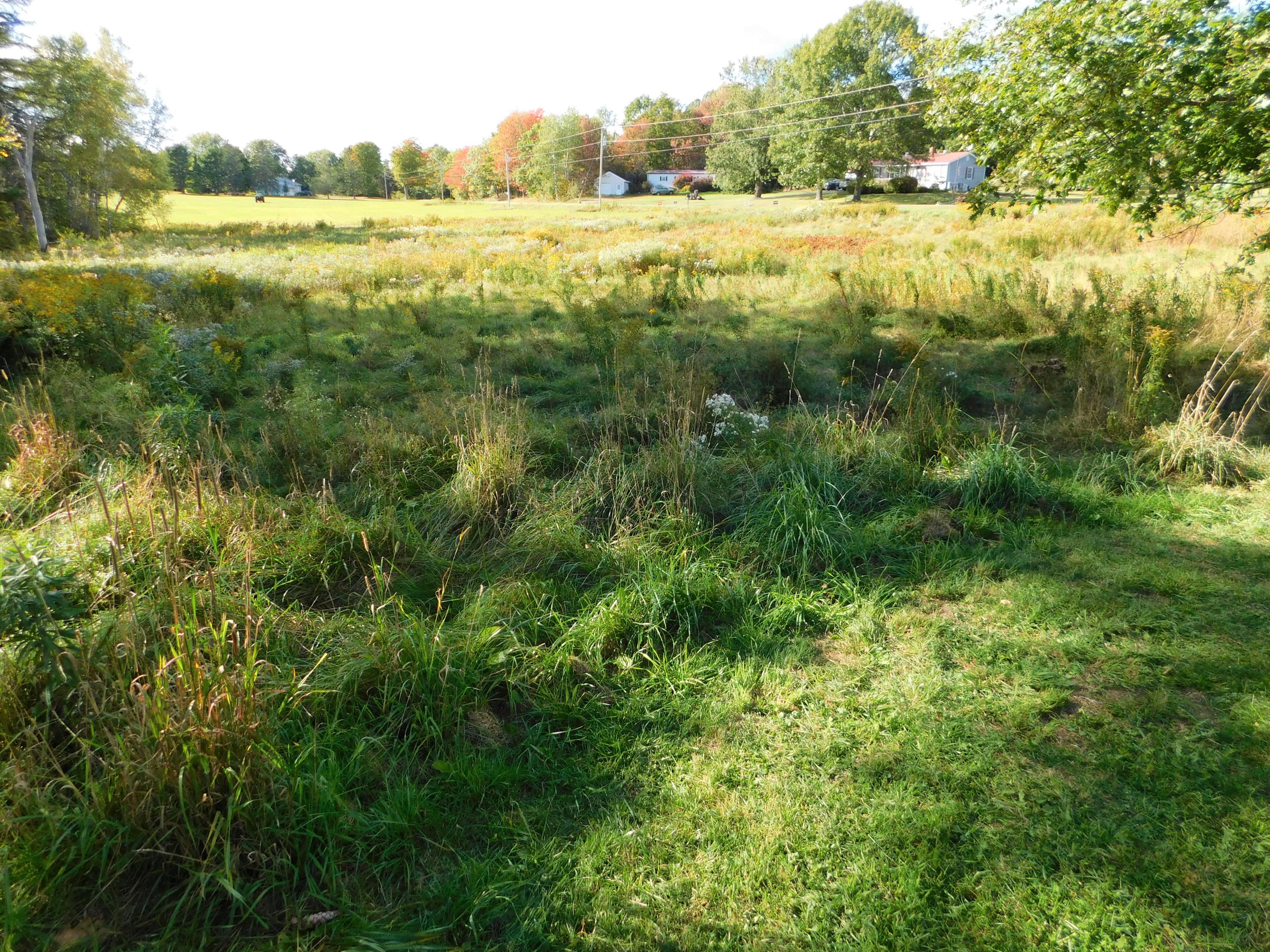 1095 Silvers Mills Road Sangerville, ME 04479 - Photo 64 of 64 DSCN1569