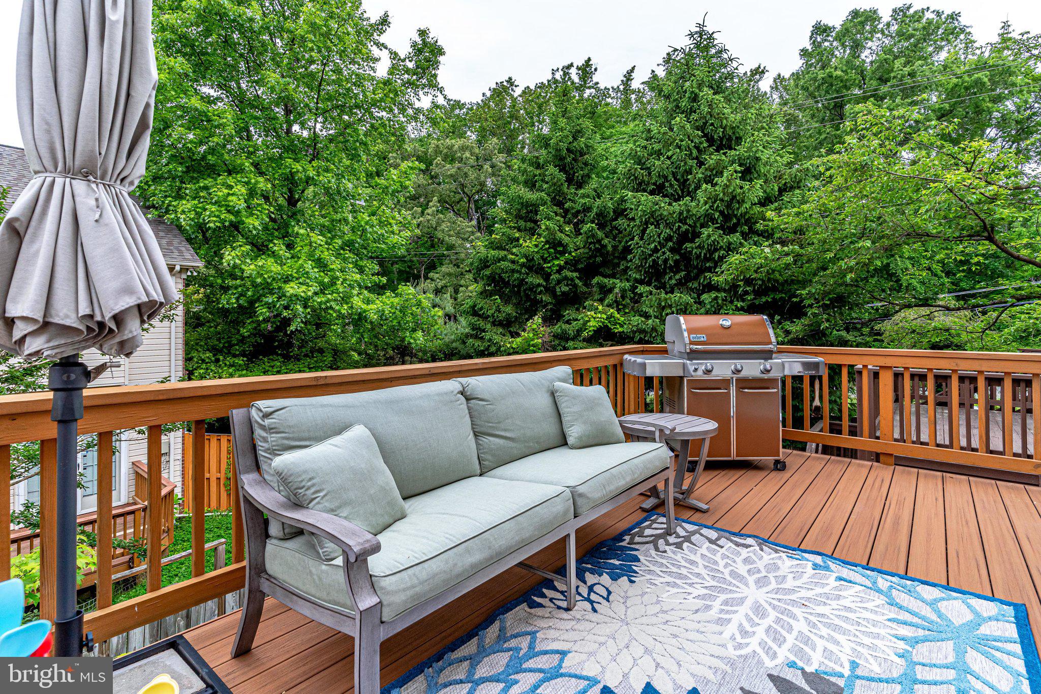 6515 Milva Lane Springfield, VA 22150 - Photo 38 of 40 Trex deck
