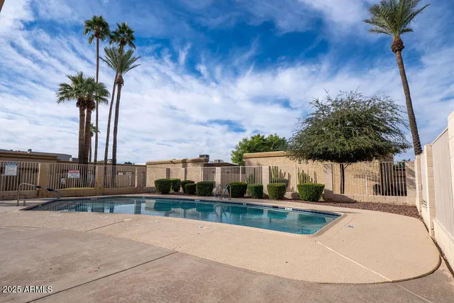 a view of a garden with a tree