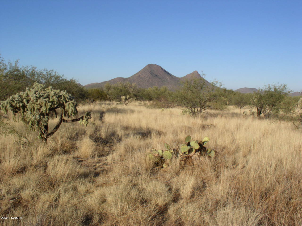 23400 West Ressie Road Tucson, AZ 85735 - Photo 1 of 3
