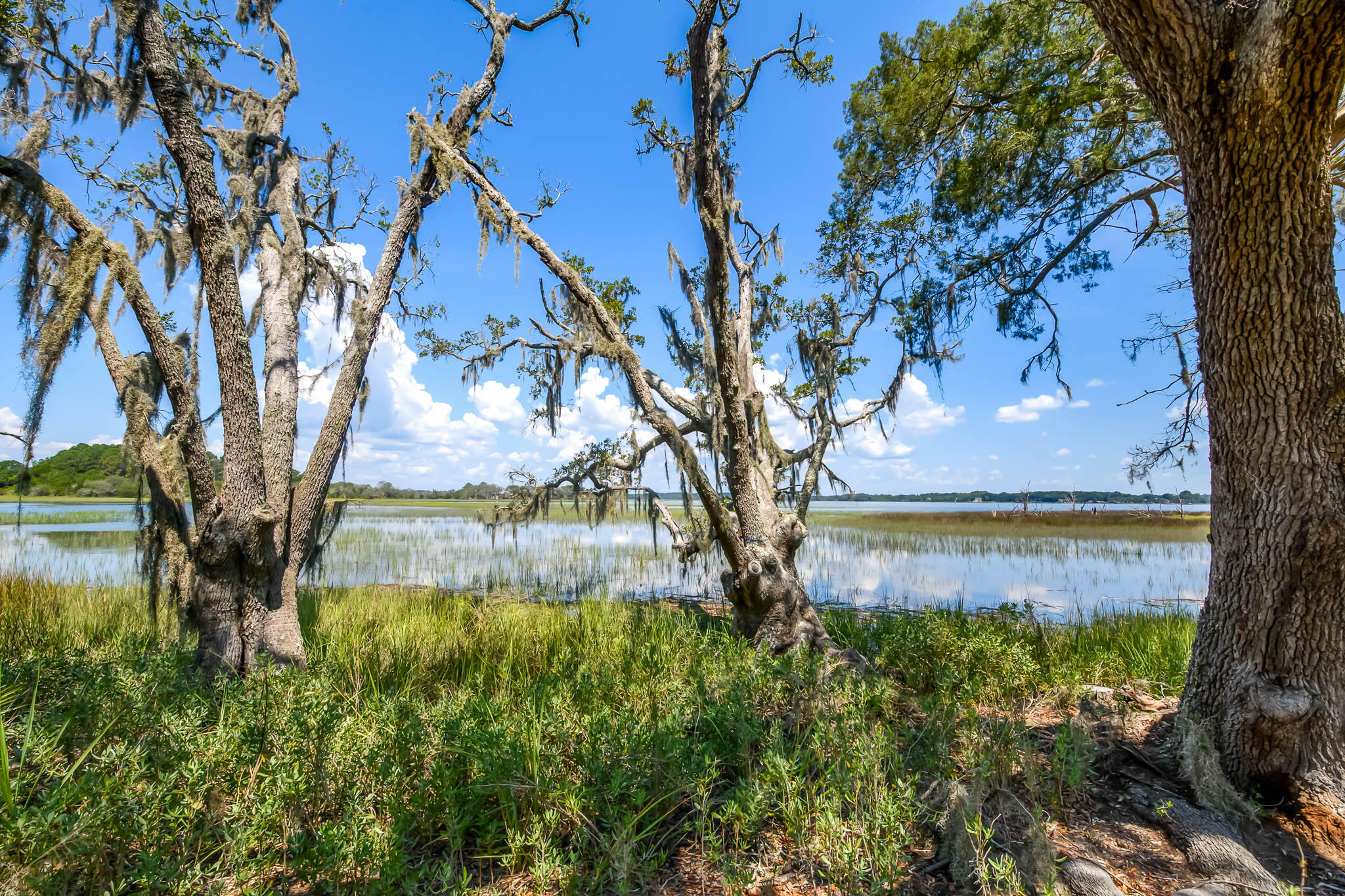 6258 Josie Ridge Road Wadmalaw Island, SC 29487 - Photo 22 of 43 HFL_6258 JOSIE RIDGE-19