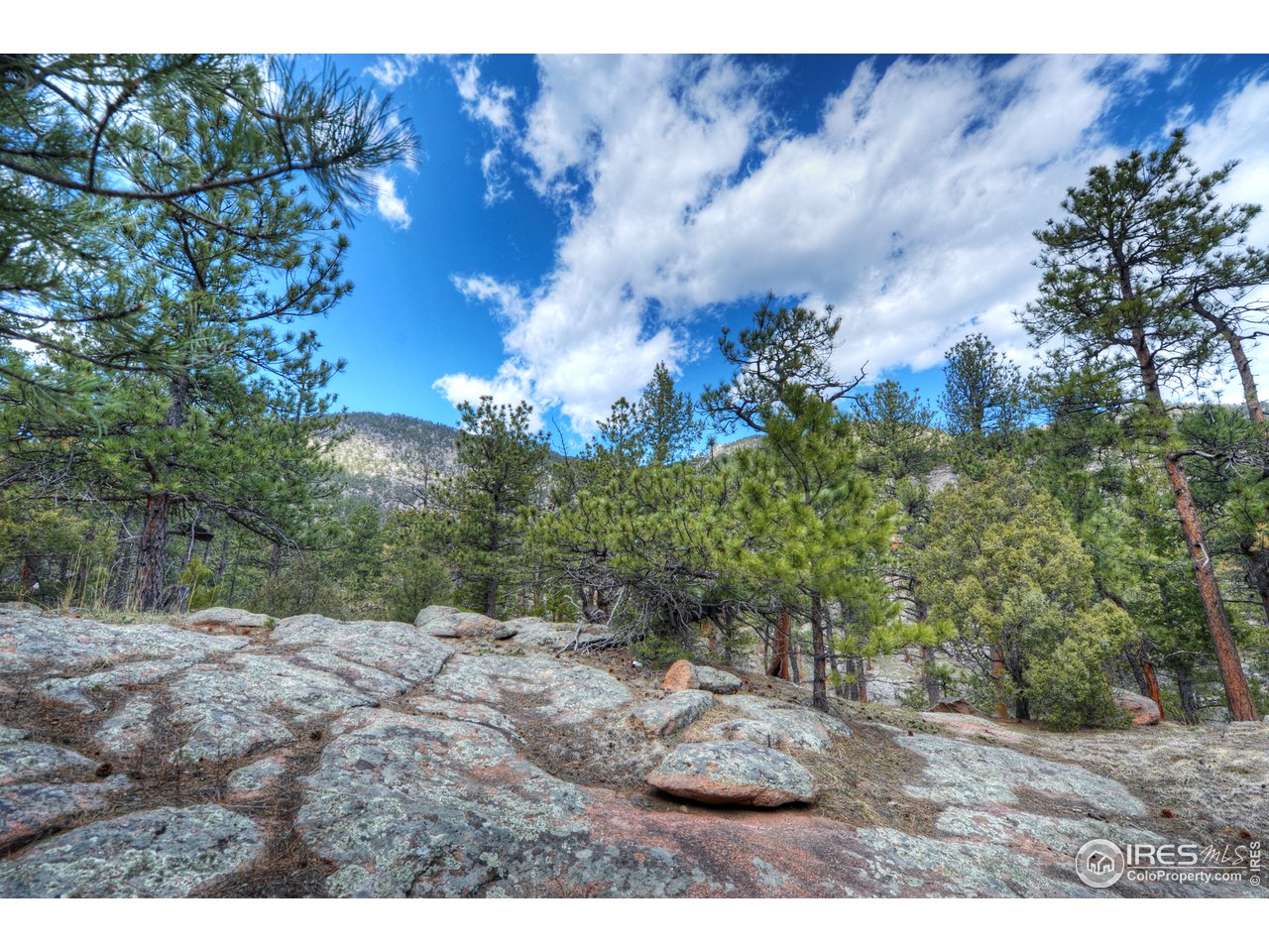 0 Pima Road Lyons, CO 80540 - Photo 13 of 28 Gallery Image 13
