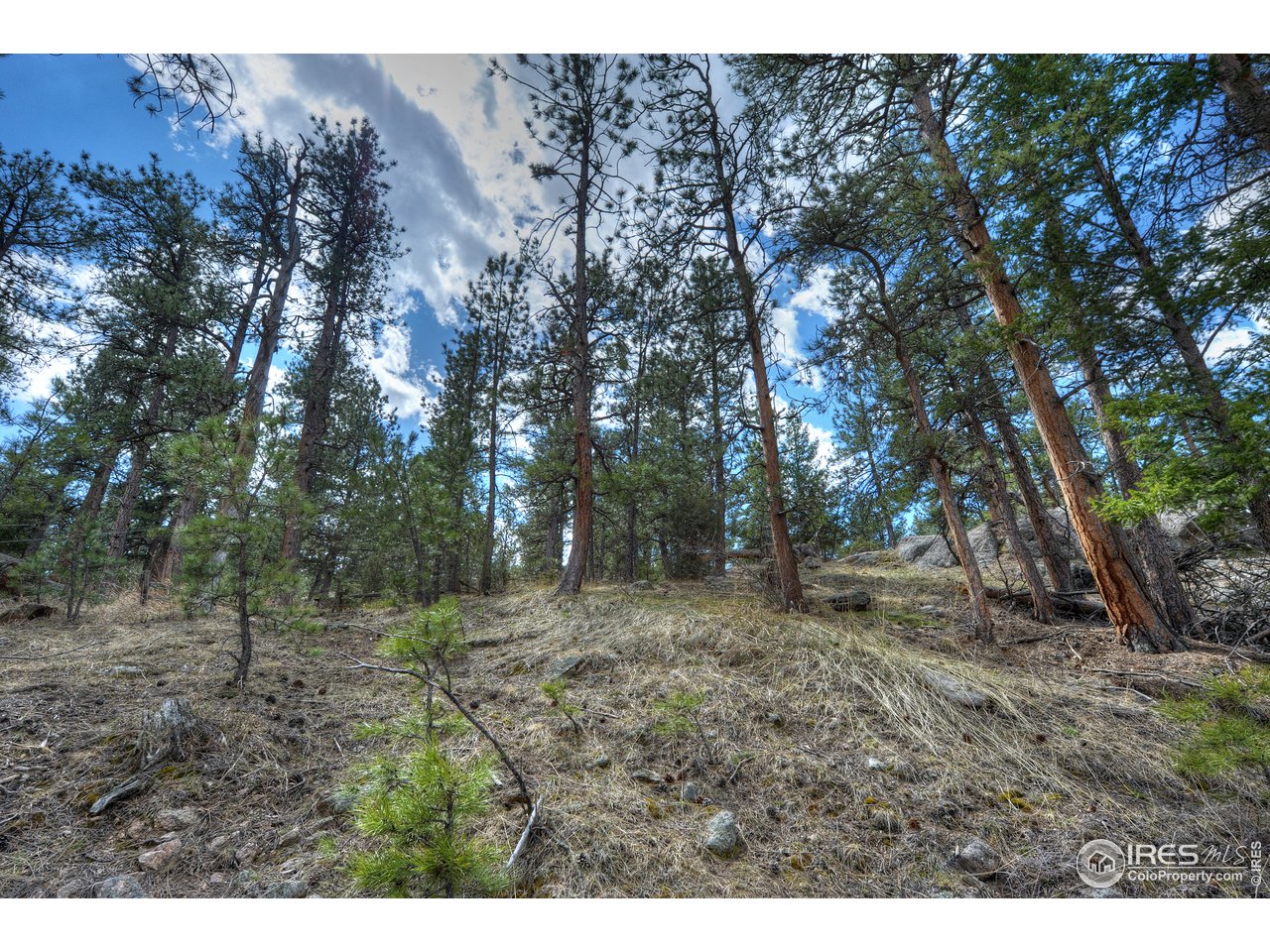 0 Pima Road Lyons, CO 80540 - Photo 22 of 28 Gallery Image 22