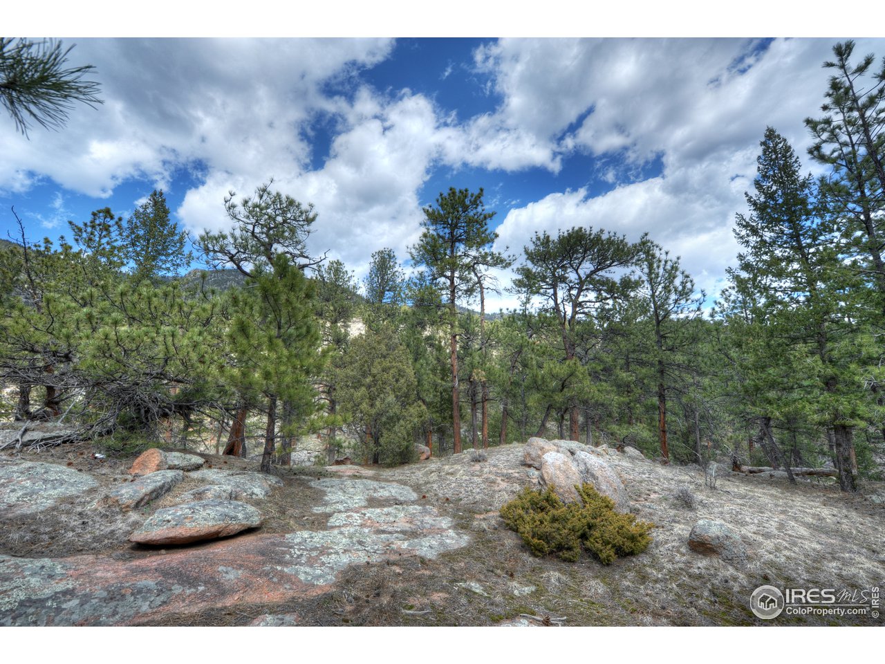 0 Pima Road Lyons, CO 80540 - Photo 10 of 28 Gallery Image 10