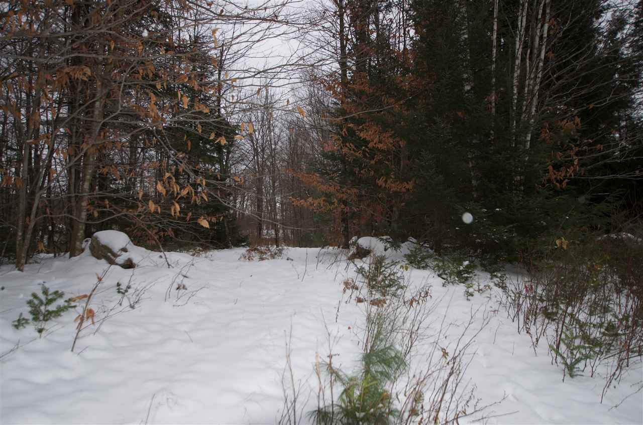 2779 Cote Hill Road, Unit 231 Morristown, VT 05661 - Photo 2 of 9 Gallery Image 2