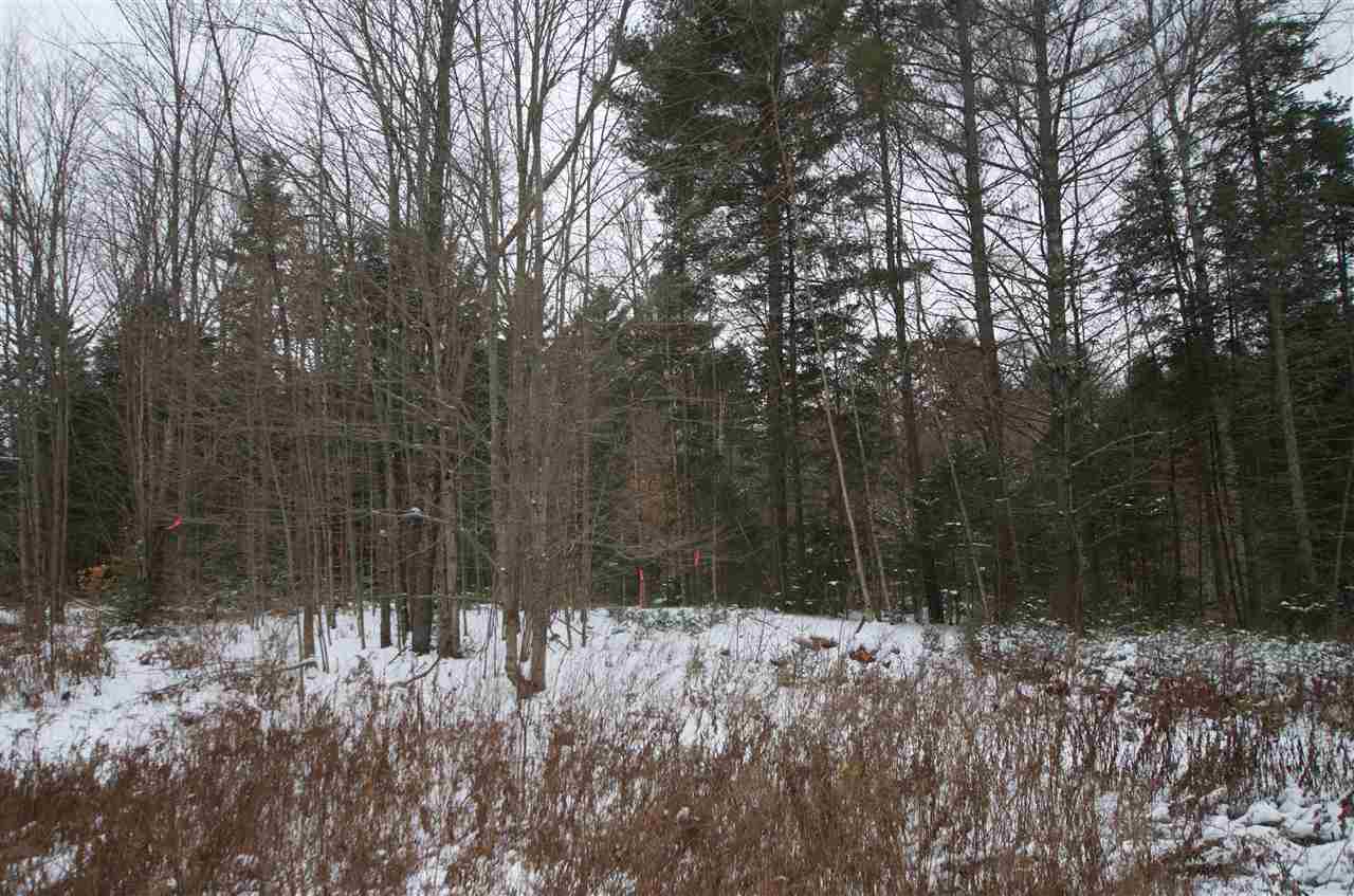 2779 Cote Hill Road, Unit 231 Morristown, VT 05661 - Photo 3 of 9 Gallery Image 3