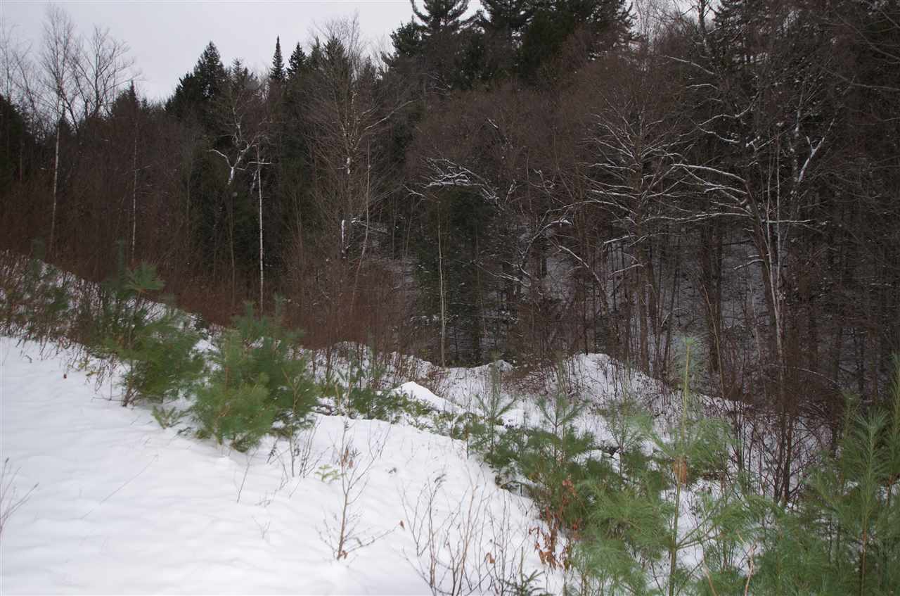 2779 Cote Hill Road, Unit 231 Morristown, VT 05661 - Photo 4 of 9 Gallery Image 4