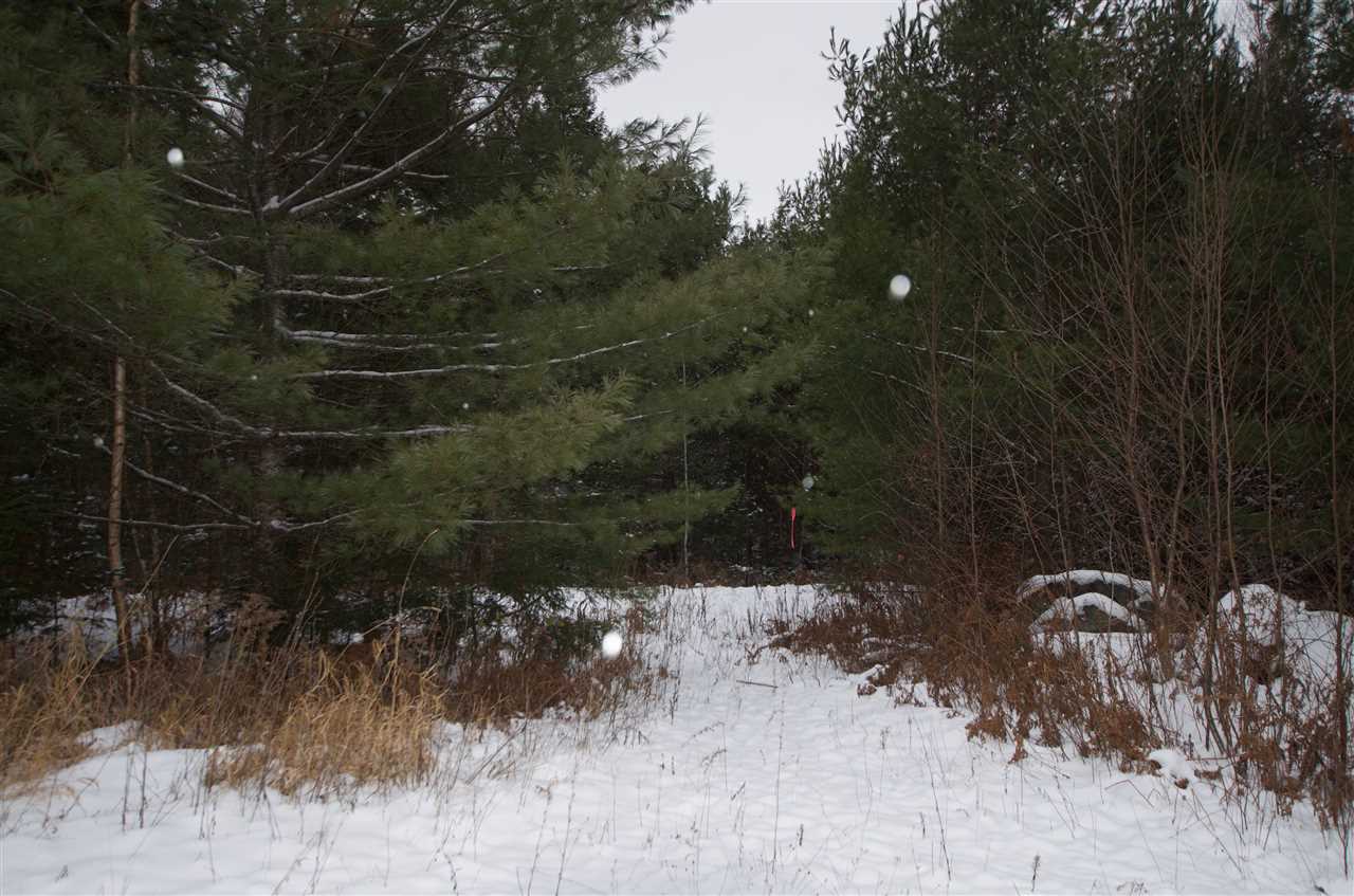 2779 Cote Hill Road, Unit 231 Morristown, VT 05661 - Photo 5 of 9 Gallery Image 5