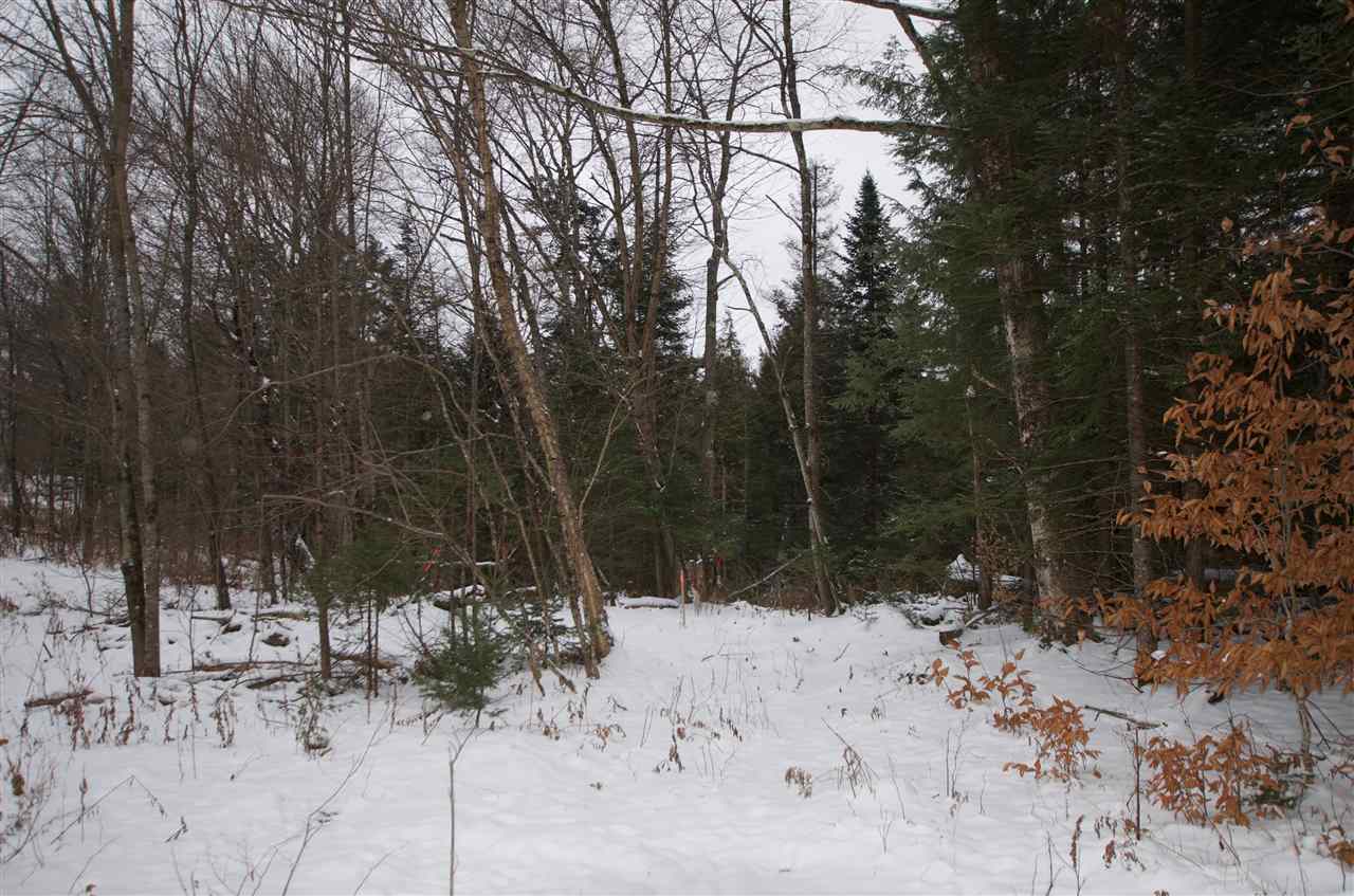 2779 Cote Hill Road, Unit 231 Morristown, VT 05661 - Photo 7 of 9 Gallery Image 7