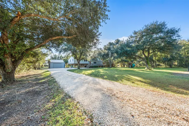 a view of a park with large trees