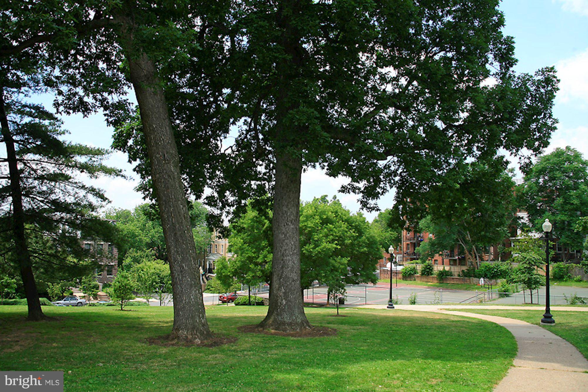 1851 Columbia Road Northwest, Unit 305 Washington, DC 20009 - Photo 19 of 28 a garden view with a sitting space