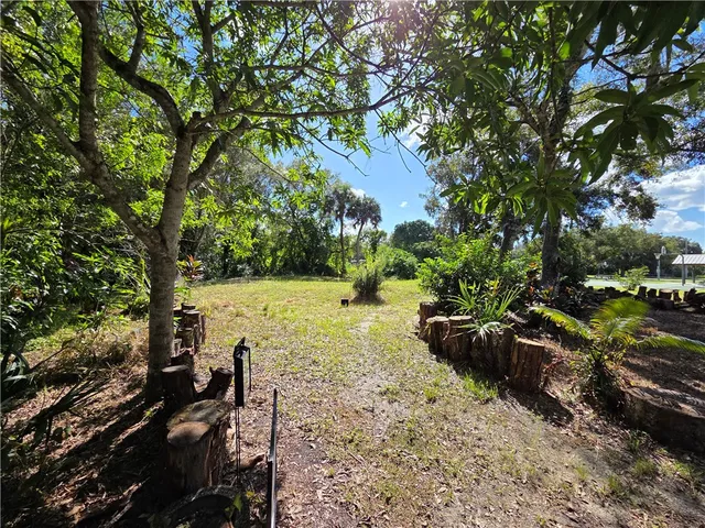 a view of a yard with plants and large trees
