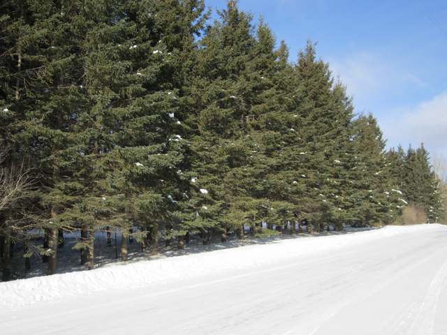 3417 North Knox Rd Road Brantwood, WI 54513 - Photo 17 of 20 Gallery Image 17