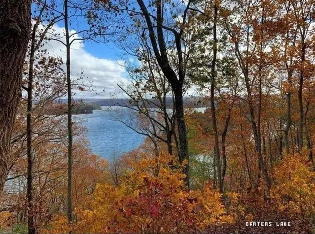 a view of a back yard