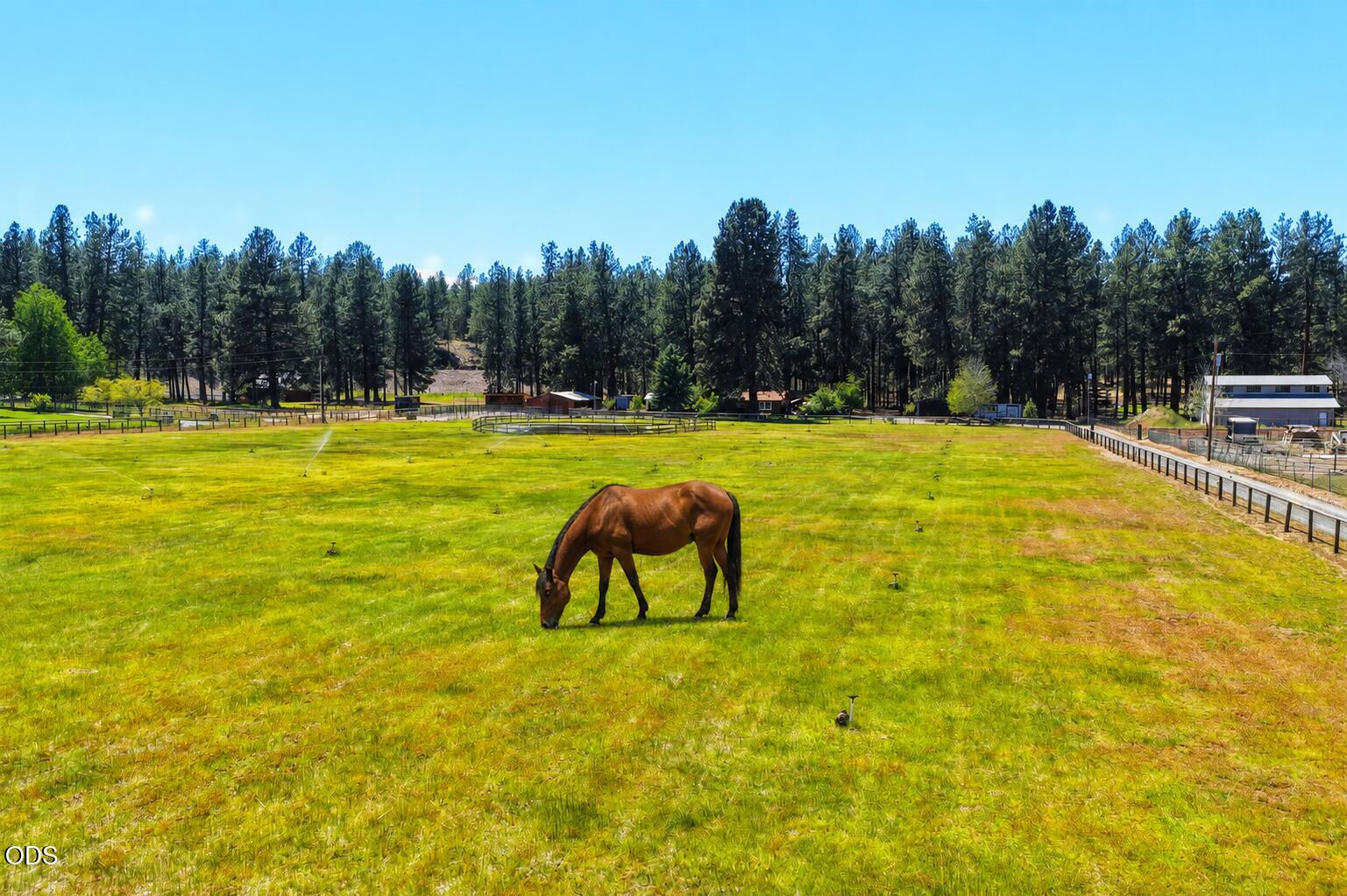 60315 Tekampe Road Bend, OR 97702 - Photo 71 of 74