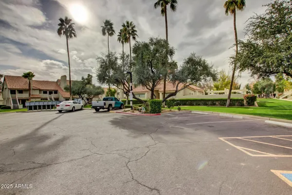 a view of green field