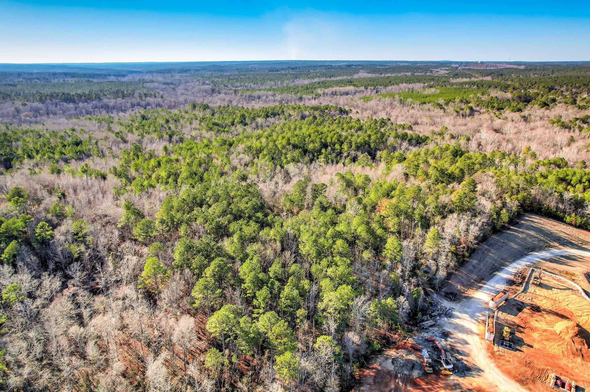 0 Washington Road Appling, GA 30802 - Photo 10 of 11 121 (1)