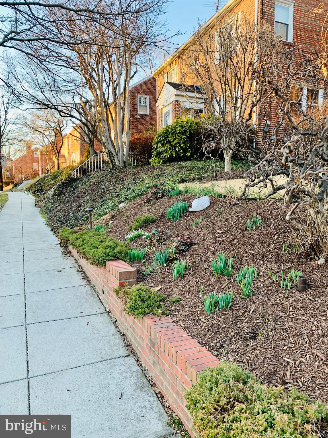 1408 Primrose Road Northwest Washington, DC 20012 - Photo 4 of 7 Gallery Image 4