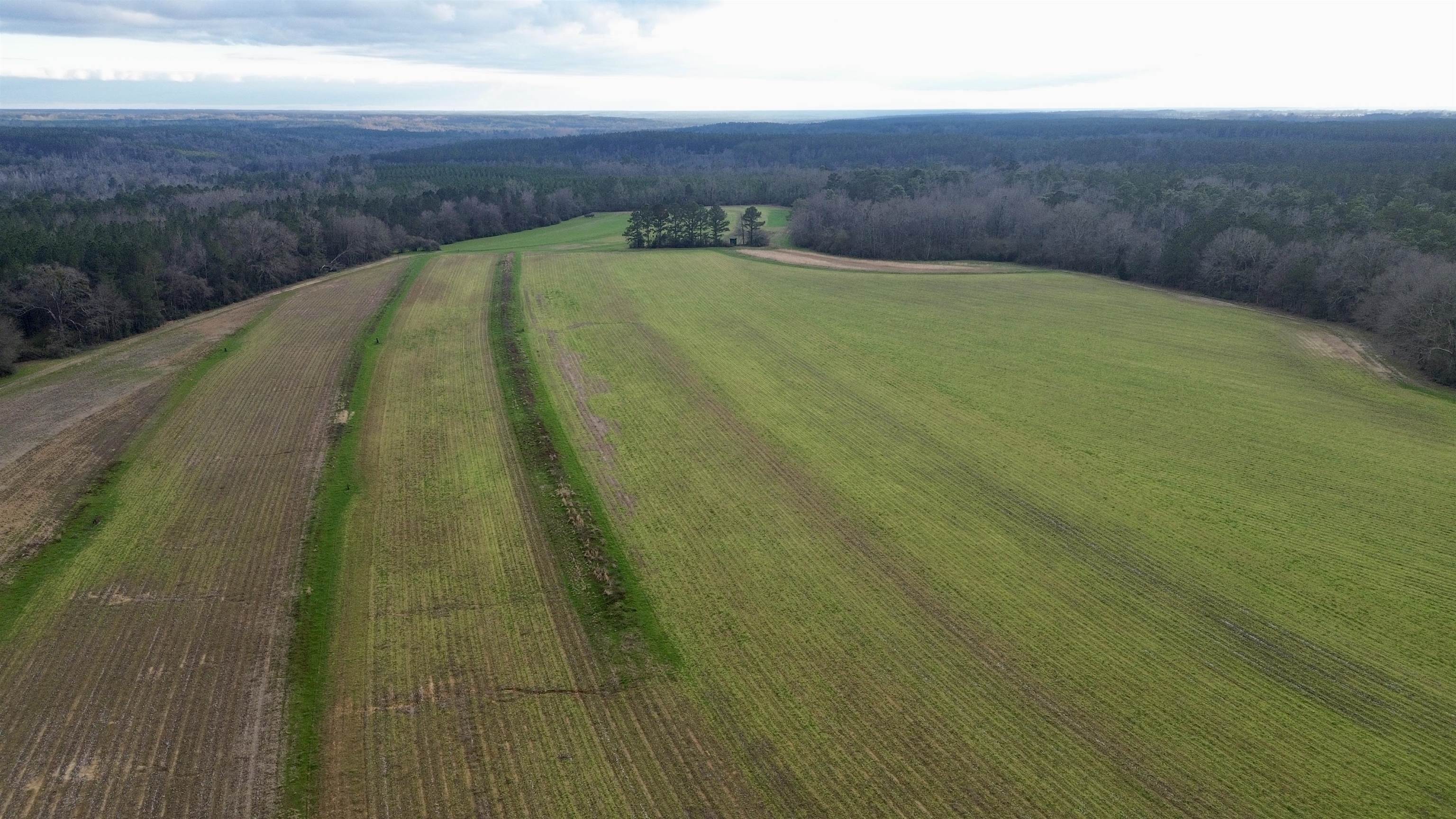 0 James Brooks Road Atmore, AL 36502 - Photo 14 of 16 Aerial View