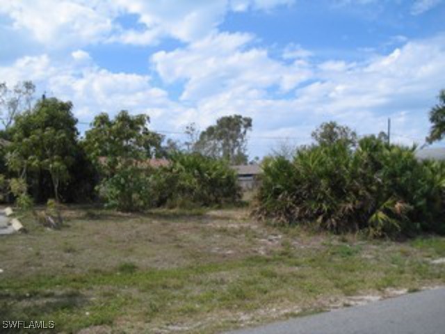 4571 Capri Drive Naples, FL 34103 - Photo 2 of 3 a view of a field with trees