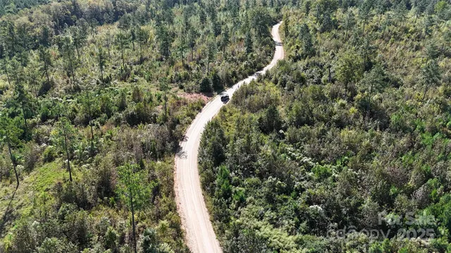 an aerial view of street and trees