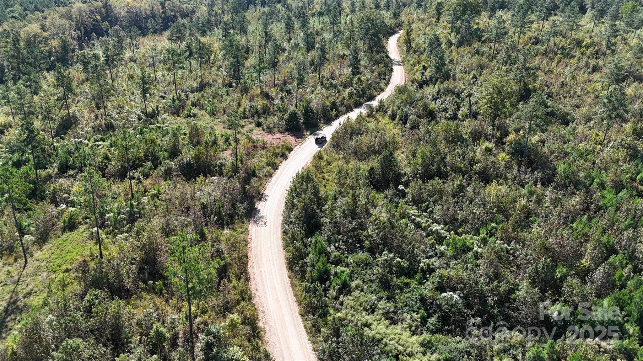an aerial view of street and trees