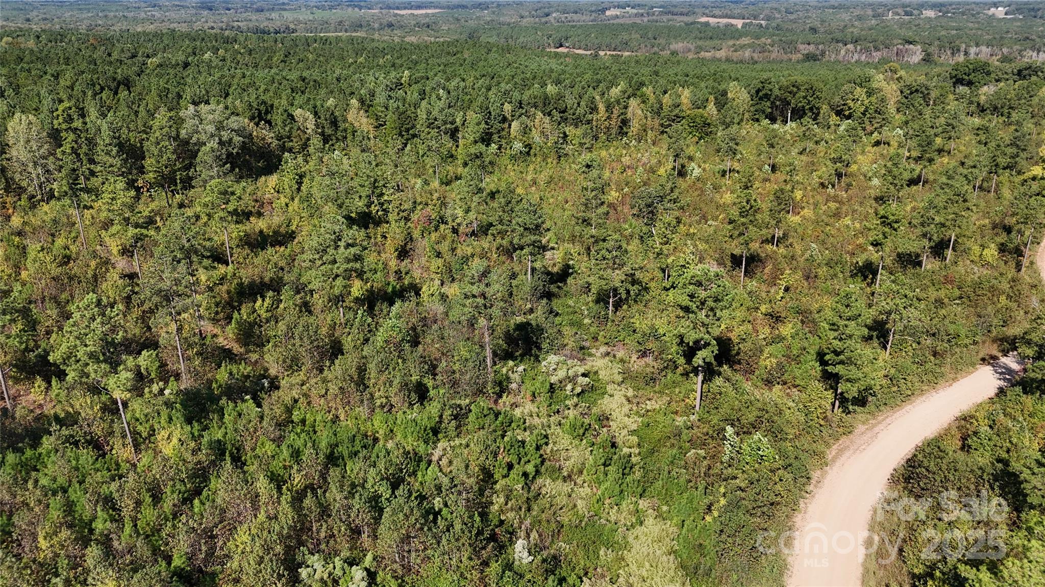 Lot 25 Farris Cato Road Pageland, SC 29728 - Photo 12 of 27 a view of a forest with a street