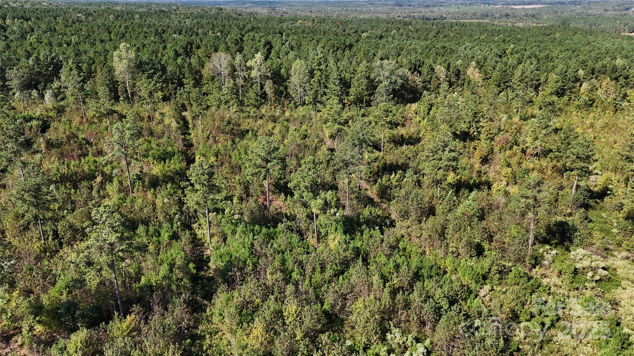 Lot 25 Farris Cato Road Pageland, SC 29728 - Photo 13 of 27 a view of a lush green field