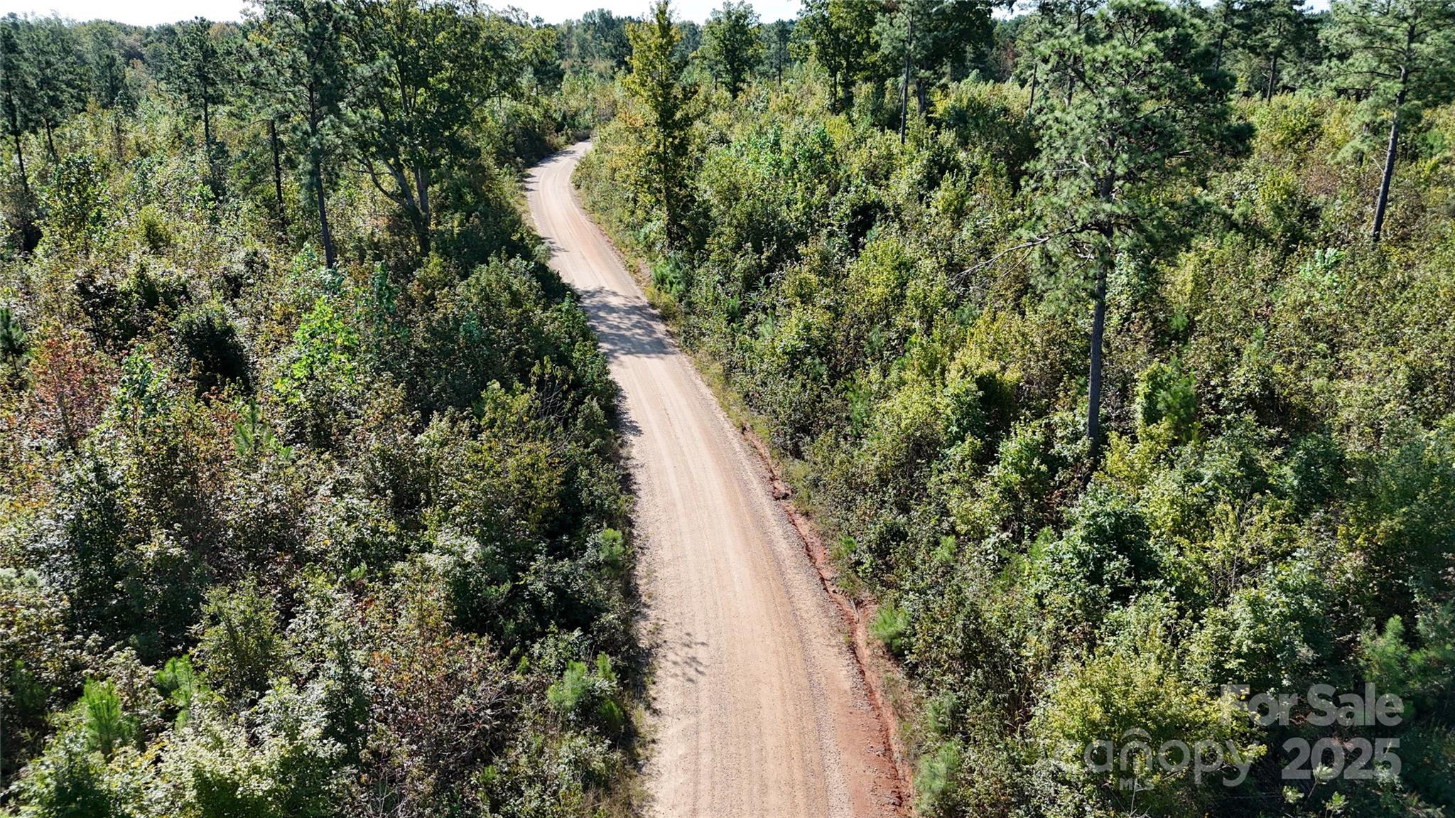 Lot 25 Farris Cato Road Pageland, SC 29728 - Photo 16 of 27 a view of a forest with a skyline