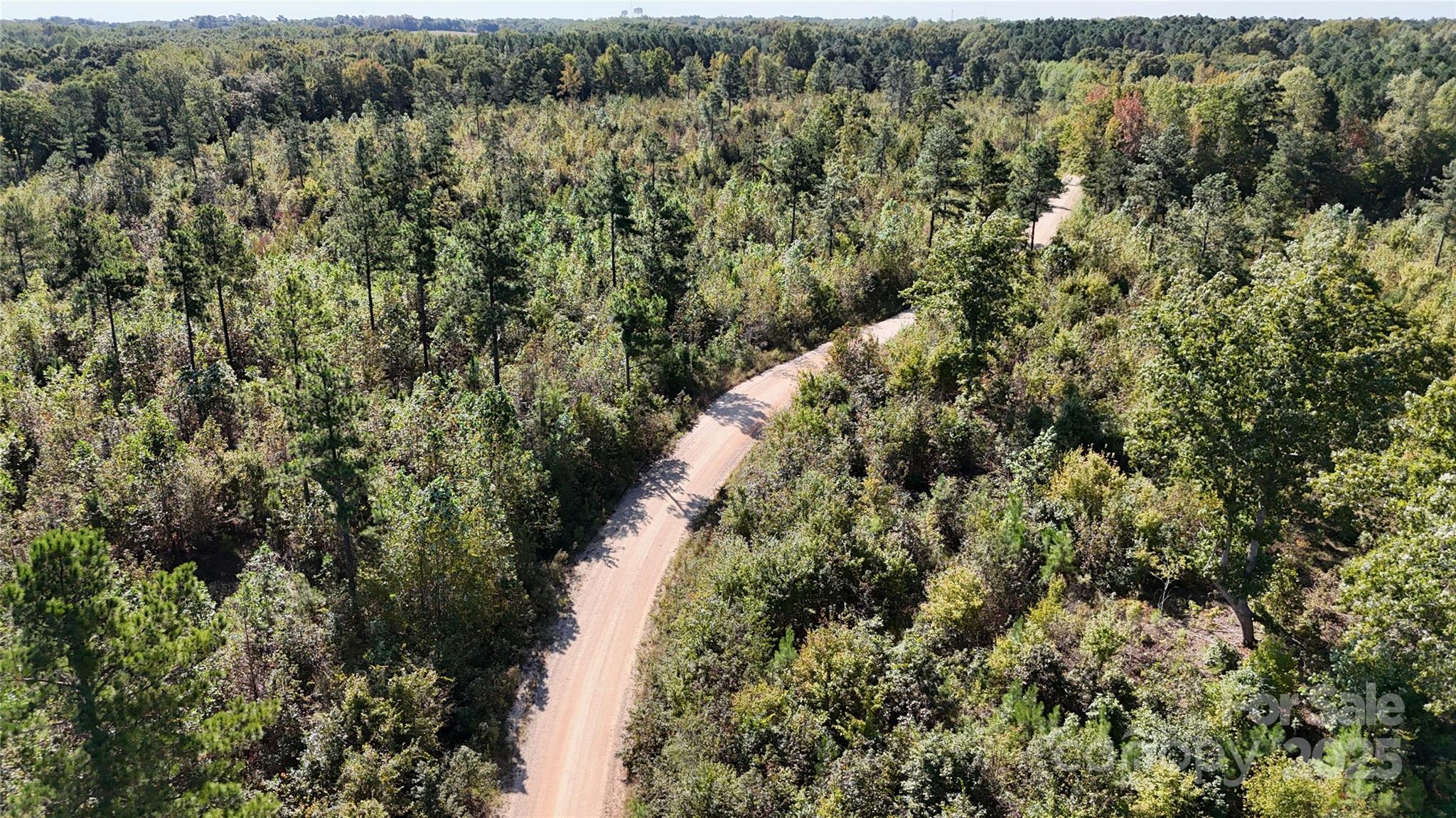 Lot 25 Farris Cato Road Pageland, SC 29728 - Photo 17 of 27 a view of a forest with a forest