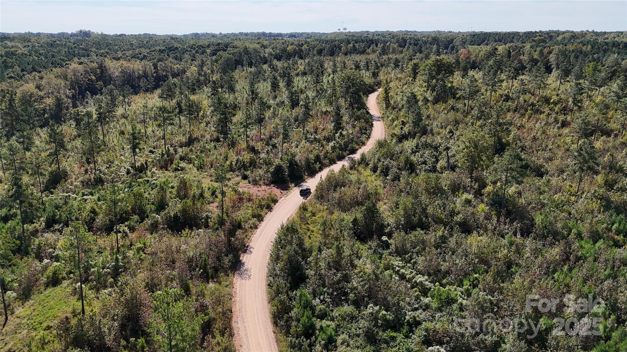 Lot 25 Farris Cato Road Pageland, SC 29728 - Photo 2 of 27 a view of a forest with a forest