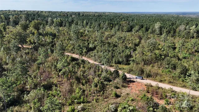 a view of a field with a tree in the background