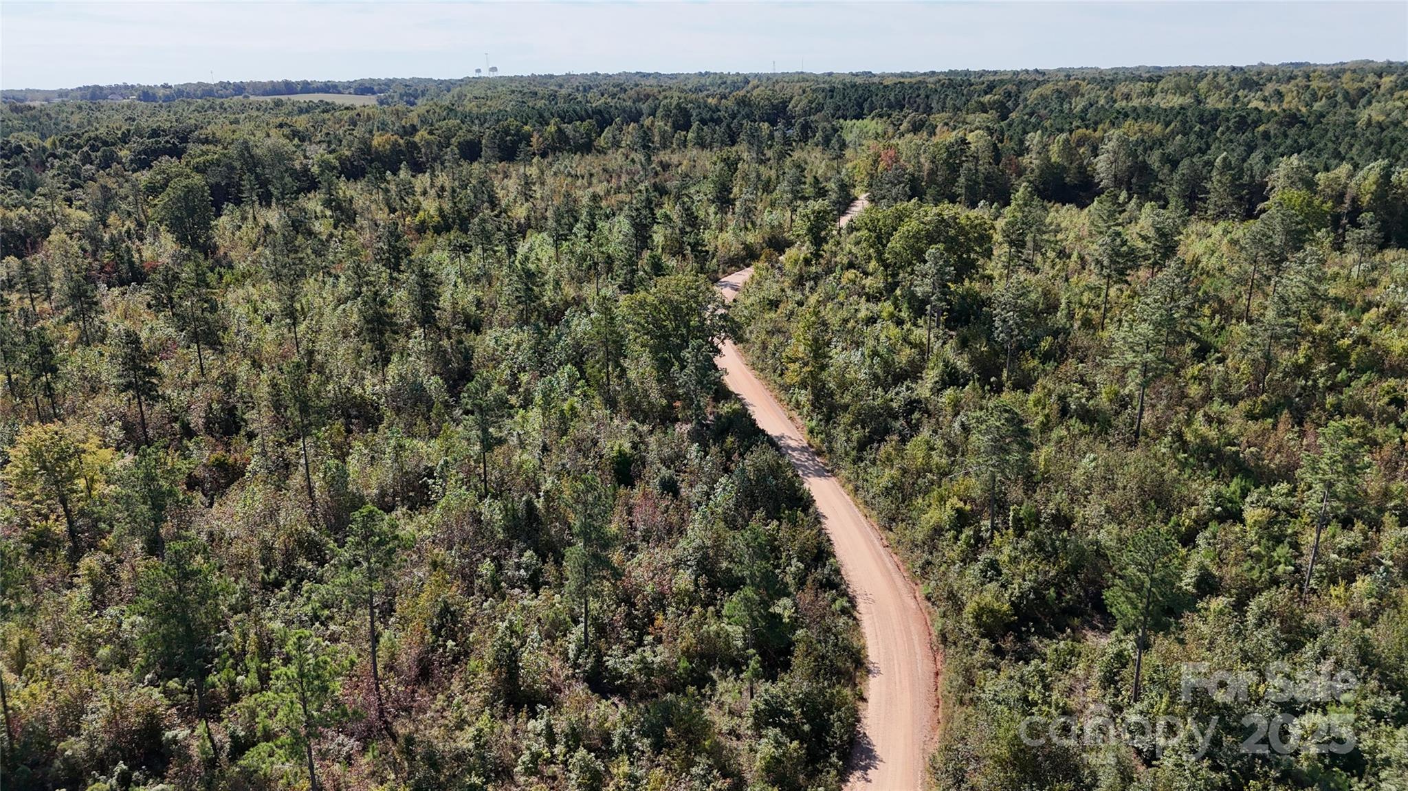 Lot 25 Farris Cato Road Pageland, SC 29728 - Photo 3 of 27 a view of a forest with a tree