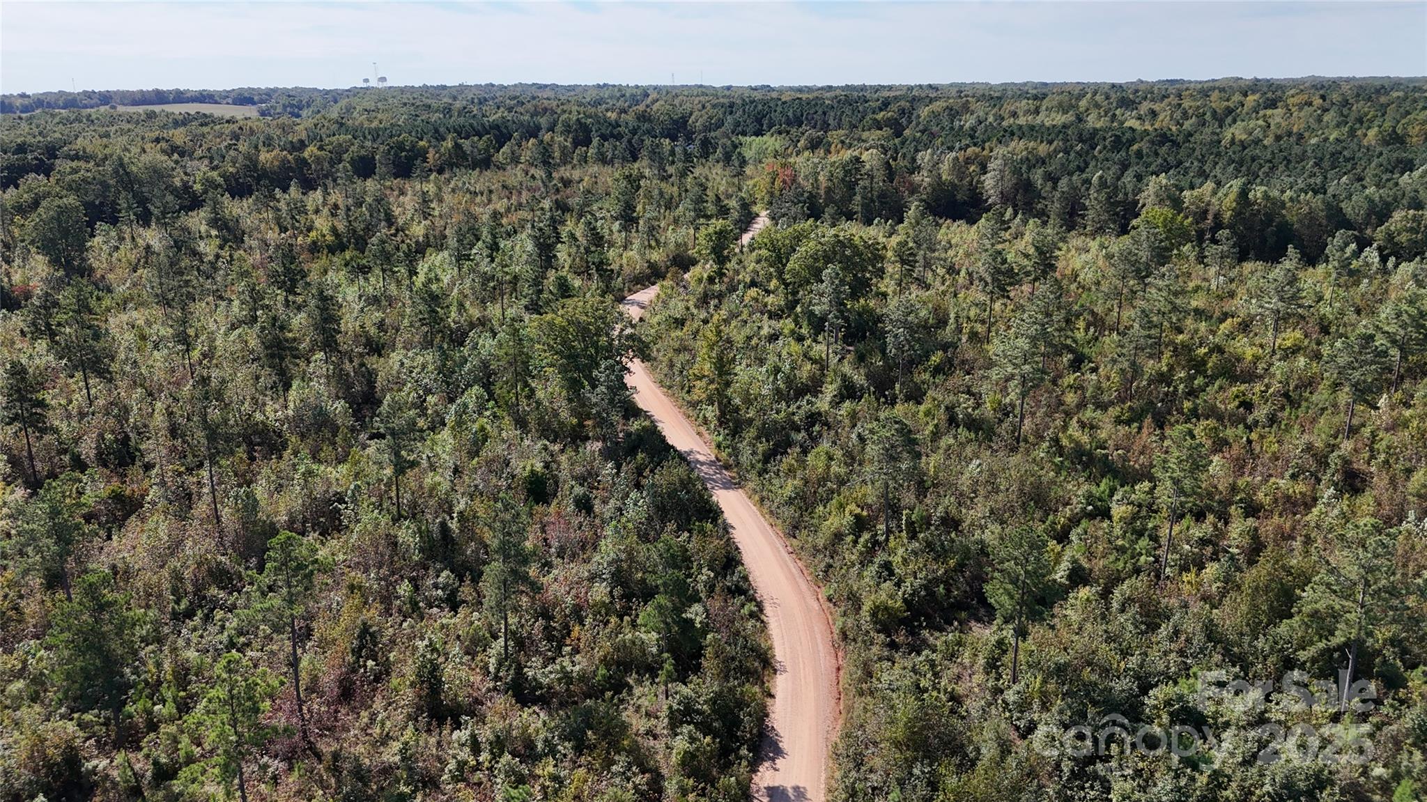 Lot 25 Farris Cato Road Pageland, SC 29728 - Photo 4 of 27 a view of a forest with a tree