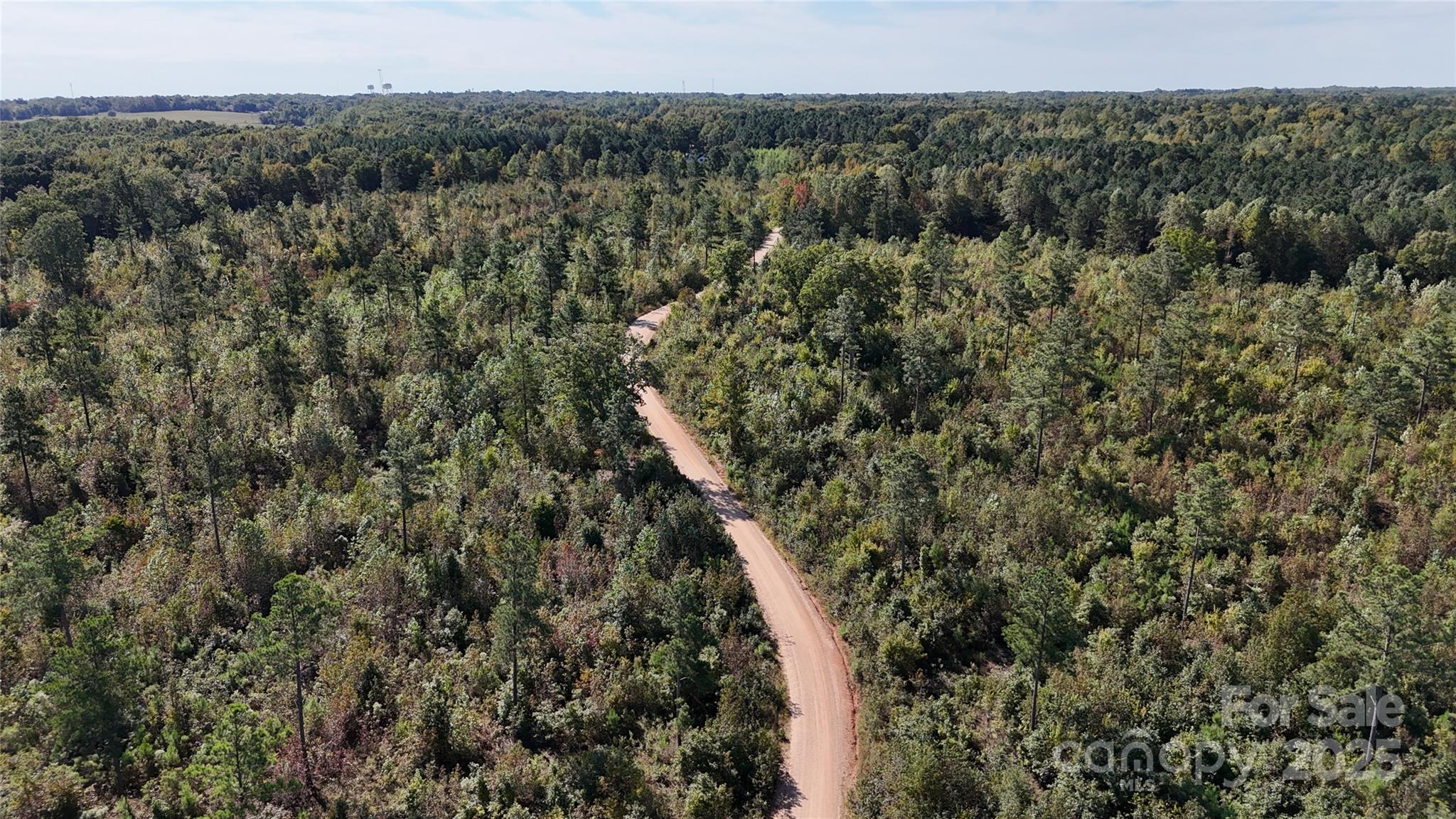Lot 25 Farris Cato Road Pageland, SC 29728 - Photo 5 of 27 a view of a forest with a tree