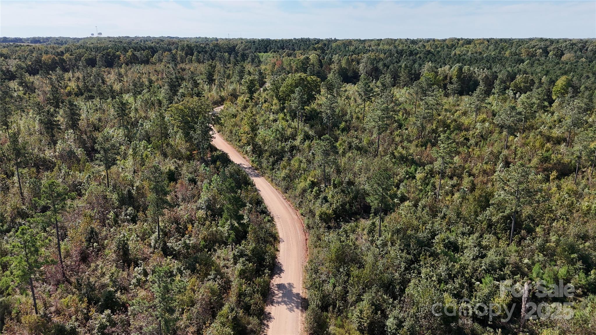 Lot 25 Farris Cato Road Pageland, SC 29728 - Photo 6 of 27 a view of a forest with a city