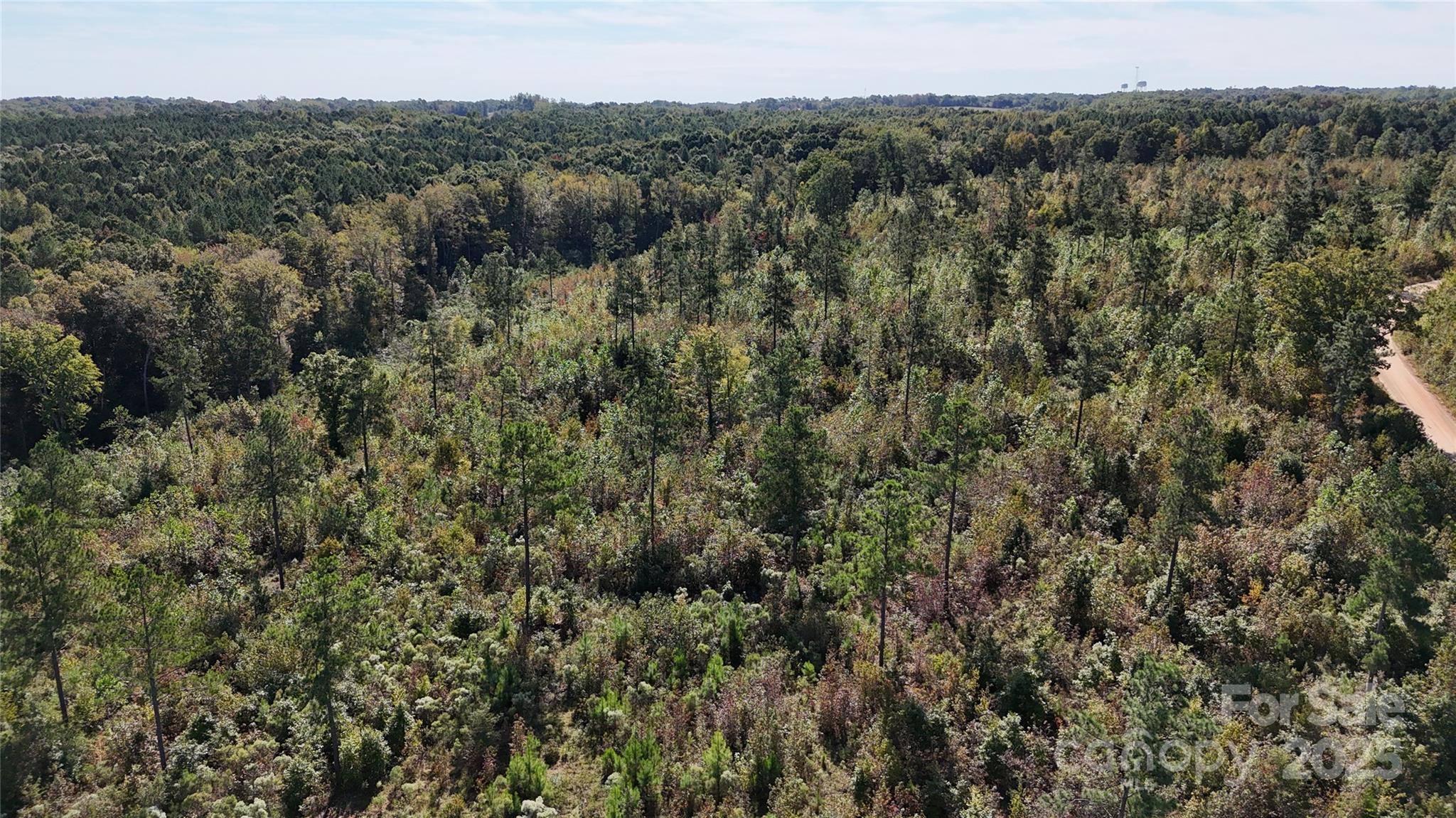 Lot 25 Farris Cato Road Pageland, SC 29728 - Photo 7 of 27 a view of a forest with a street