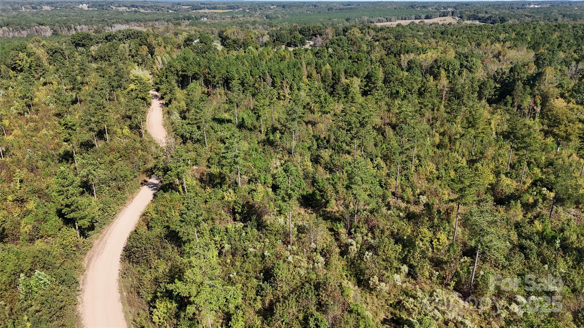 Lot 25 Farris Cato Road Pageland, SC 29728 - Photo 10 of 27 a view of a yard with plants