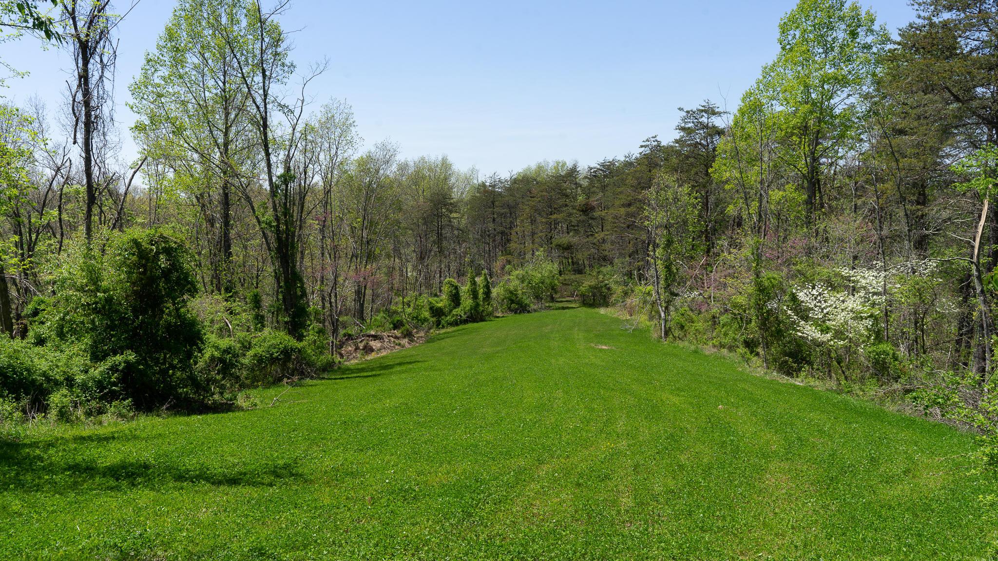 15513 Greasy Ridge Road Scottown, OH 45678 - Photo 36 of 46