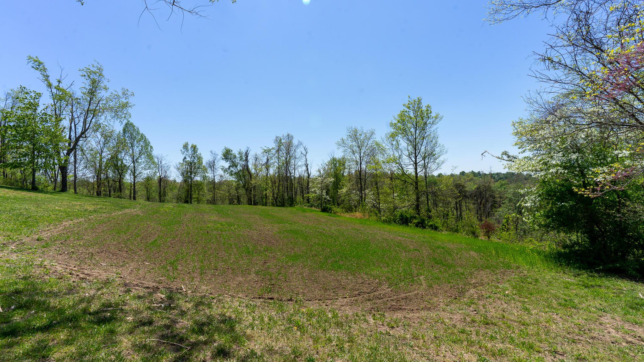 15513 Greasy Ridge Road Scottown, OH 45678 - Photo 37 of 46