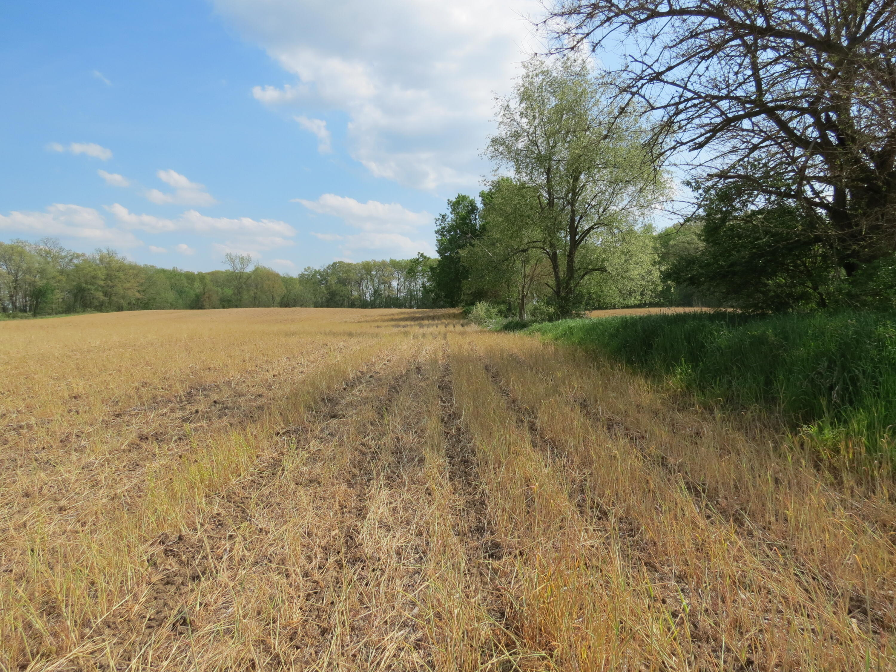 South Stony Lake Road, Unit B Jackson, MI 49201 - Photo 26 of 30 IMG_4267